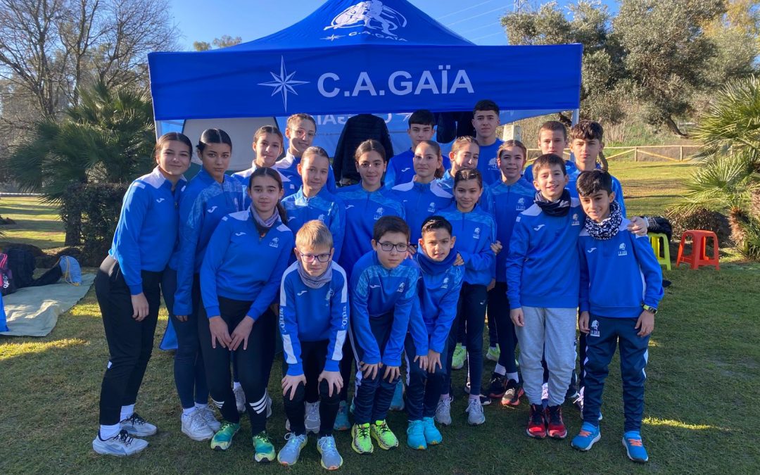 Gran participación en Alcalá de Guadaíra