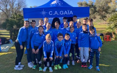 Gran participación en Alcalá de Guadaíra